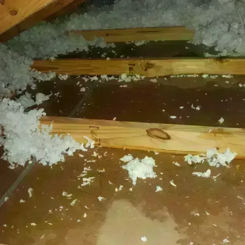 Attic Water Damage in Horton, KS