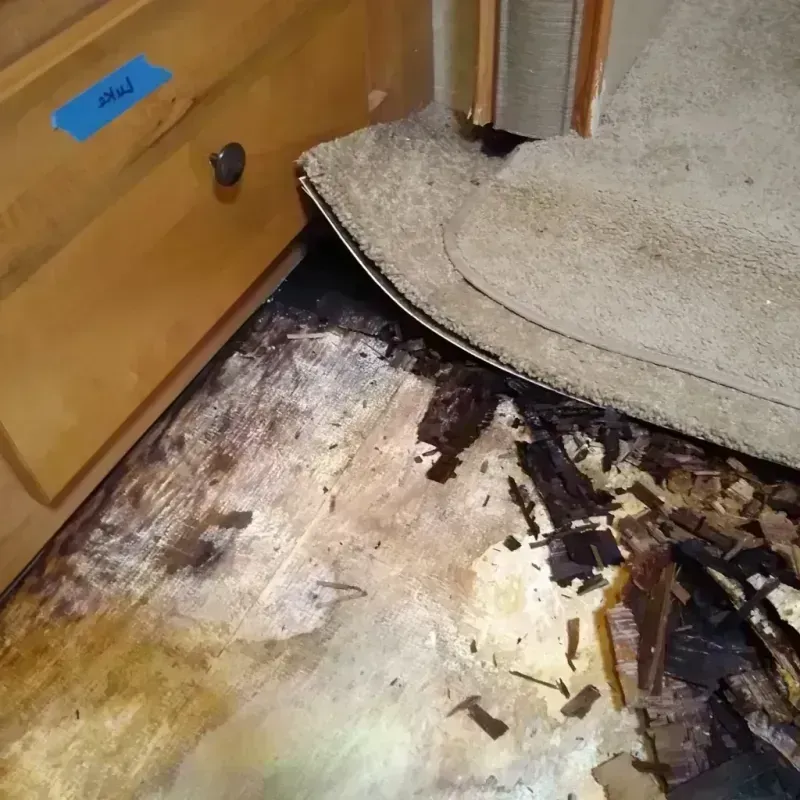 Wood Floor Water Damage in Horton, KS